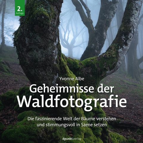 Geheimnisse der Waldfotografie - Yvonne Albe