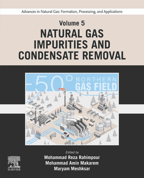 Advances in Natural Gas: Formation, Processing, and Applications. Volume 5: Natural Gas Impurities and Condensate Removal - 