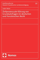 Zivilprozessuale Klärung von Grundsatzfragen im deutschen und französischen Recht - Sophia Weber