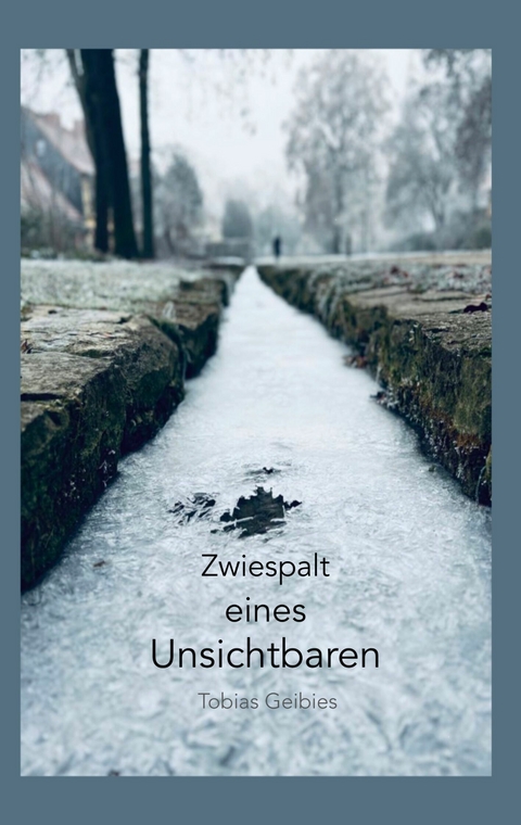 Zwiespalt eines Unsichtbaren - Tobias Geibies