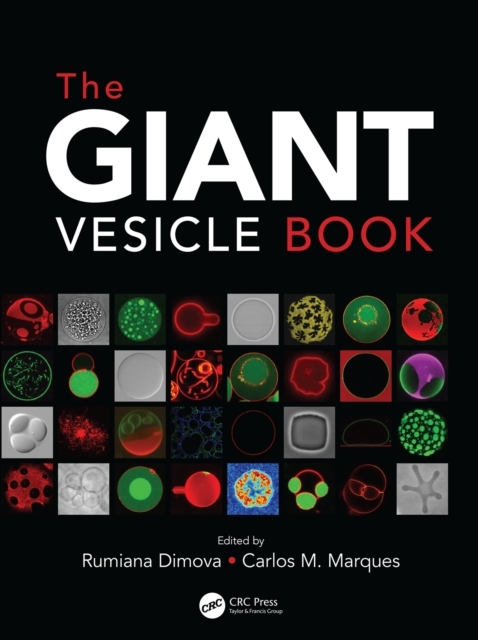 The Giant Vesicle Book - 