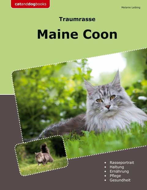 Traumrasse Maine Coon - Melanie Leibing