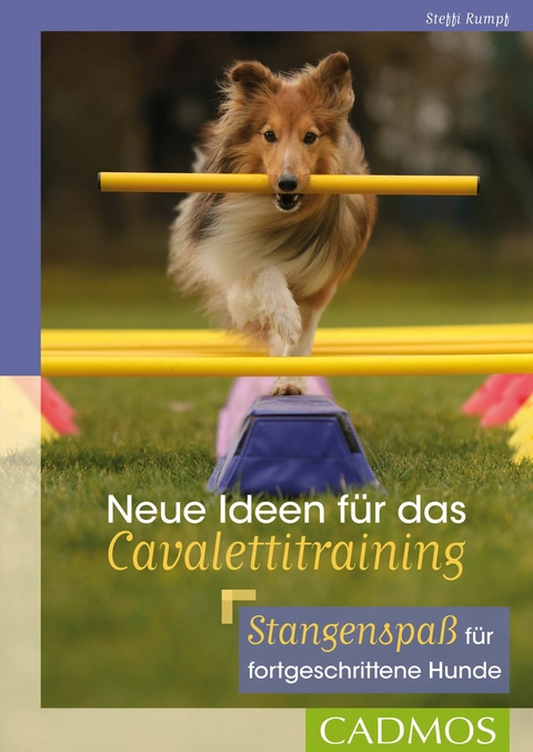 Neue Ideen für das Cavalettitraining - Steffi Rumpf