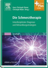 Die Schmerztherapie - Maier, Christoph; Diener, Hans-Christoph