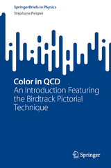 Color in QCD - Stéphane Peigné