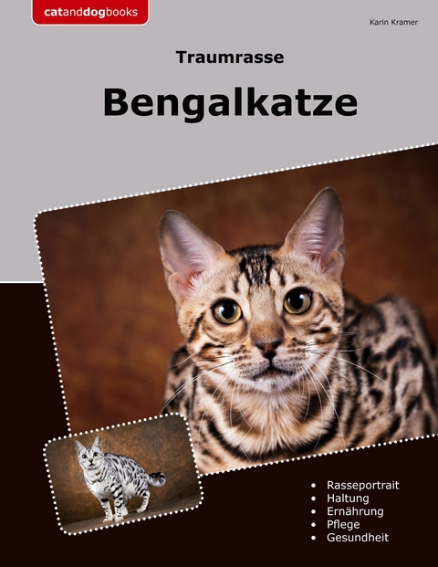 Traumrasse Bengalkatze -  Karin Kramer