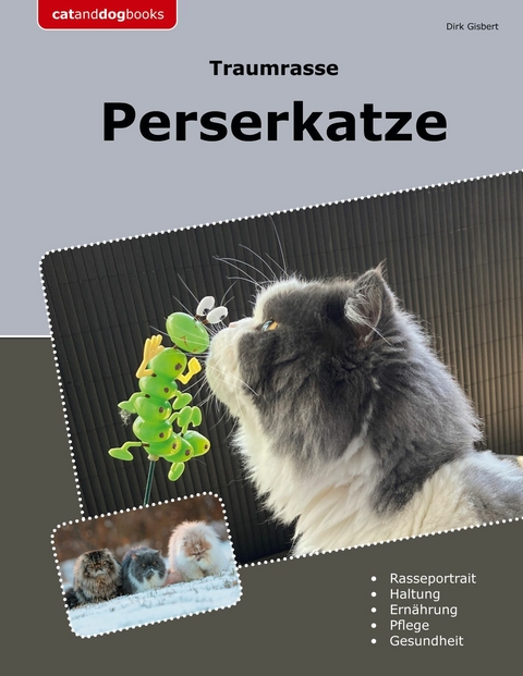 Traumrasse Perserkatze -  Dirk Gisbert