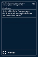 Unterschiedliche Einordnungen der Stromspeicherung im Rahmen des deutschen Rechts - Maria Batyreva