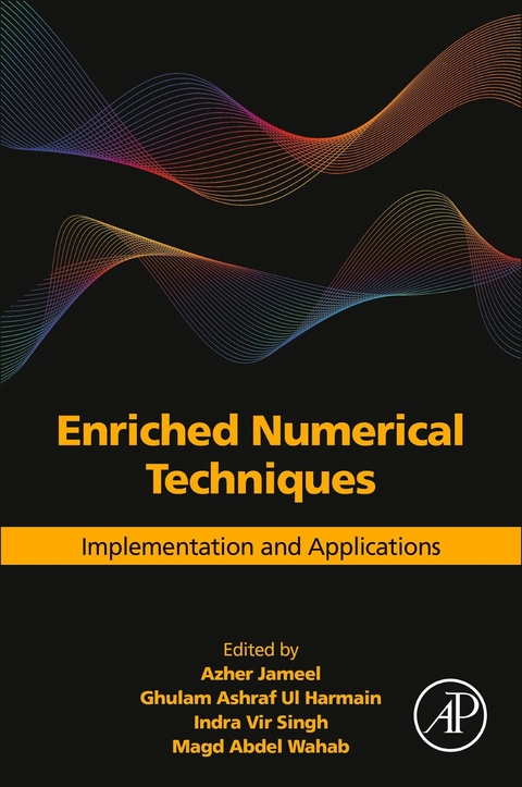 Enriched Numerical Techniques - 