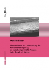 Messmethoden zur Untersuchung der Kohlenstoffablagerung an nickelhaltigen SOFC-Anoden beim Betrieb mit Methan. - Mathilde Bieber