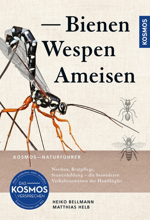 Bienen, Wespen, Ameisen -  Heiko Bellmann,  Matthias Helb