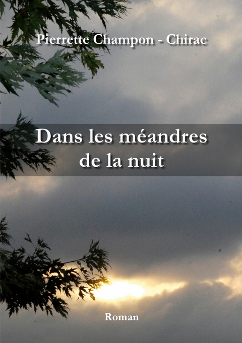 Dans les méandres de la nuit -  Pierrette Champon - Chirac