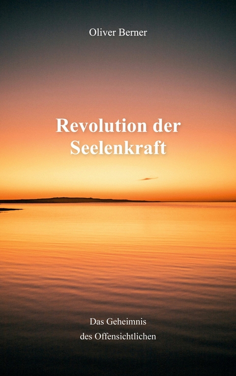 Revolution der Seelenkraft -  Oliver Berner