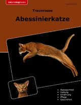 Traumrasse Abessinierkatze - Susanne Schmitt