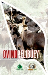 Ovino pelibuey -  Colectivo de Autores