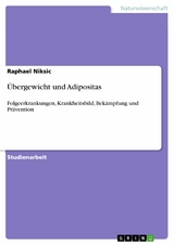 Übergewicht und Adipositas - Raphael Niksic