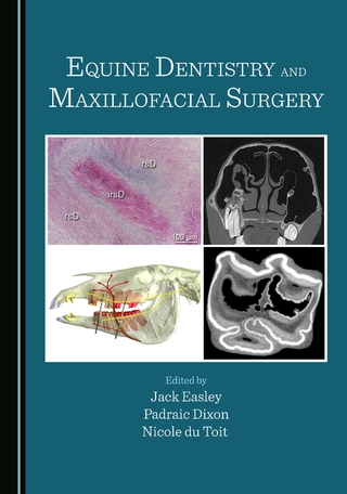 Equine Dentistry and Maxillofacial Surgery - Padraic Dixon; Jack Easley; Nicole du Toit