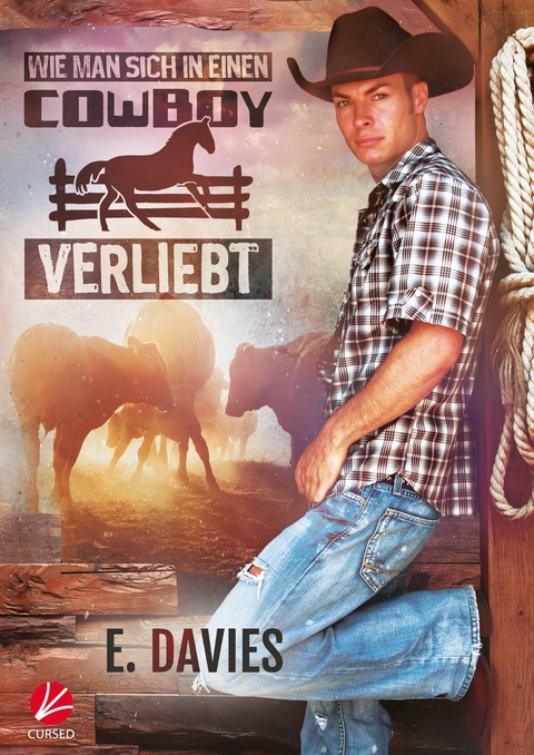 Wie man sich in einen Cowboy verliebt - E. Davies