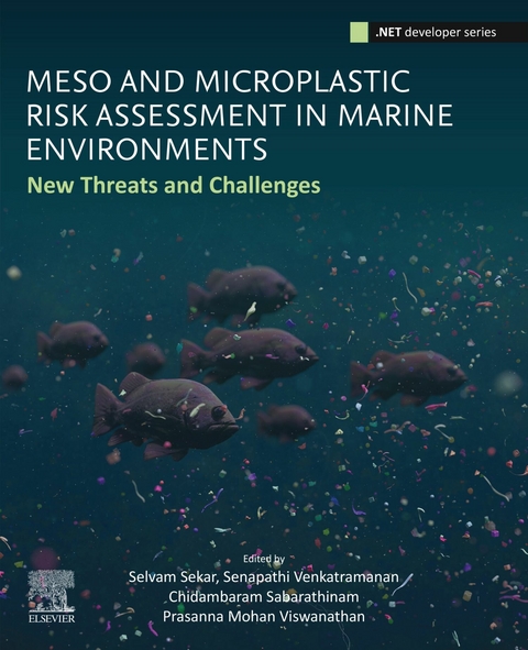 Meso and Microplastic Risk Assessment in Marine Environments - 