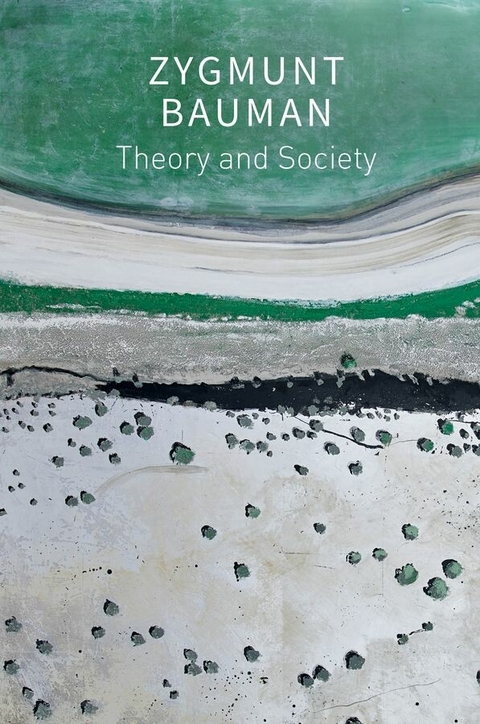 Theory and Society - Zygmunt Bauman