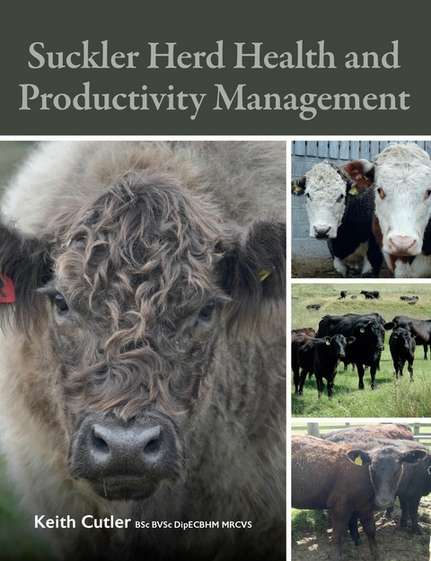 Suckler Herd Health and Productivity Management - Keith Cutler