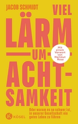 Viel Lärm um Achtsamkeit - Jacob Schmidt