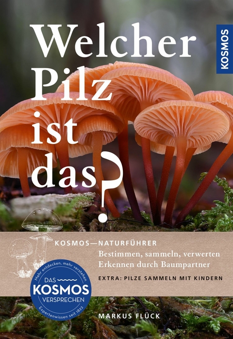 Welcher Pilz ist das? - Markus Flück