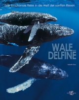 Wale und Delfine- Eine emotionale Reise in die Welt der sanften Riesen - Isabelle Groc