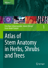 Atlas of Stem Anatomy in Herbs, Shrubs and Trees - Fritz Hans Schweingruber, Annett Börner, Ernst-Detlef Schulze