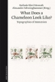 What Does a Chameleon Look Like? - Stefanie Menrath; Alexander Schwinghammer