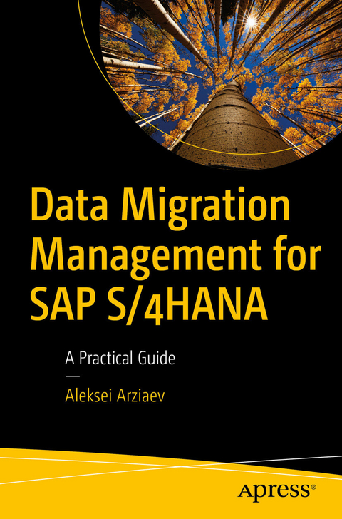 Data Migration Management for SAP S/4HANA -  Aleksei Arziaev