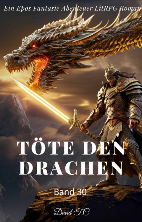 Töte den Drachen:Ein Epos Fantasie Abenteuer LitRPG Roman(Band 30) - David T.C