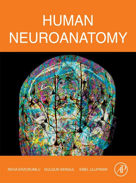 Human Neuroanatomy -  Reha Erzurumlu,  Gulgun Sengul,  Emel Ulupinar