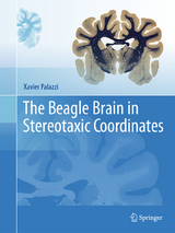 The Beagle Brain in Stereotaxic Coordinates - Xavier Palazzi