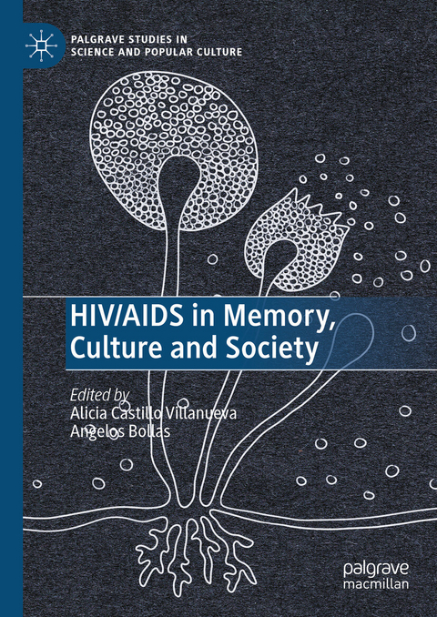 HIV/AIDS in Memory, Culture and Society - 