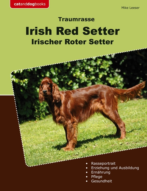 Traumrasse Irish Red Setter - Mike Leeser