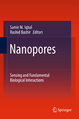 Nanopores - 