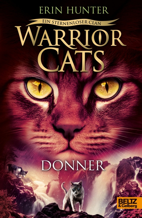 Warrior Cats - Ein sternenloser Clan. Donner -  Erin Hunter