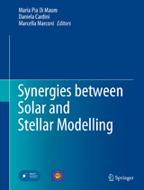 Synergies between Solar and Stellar Modelling - 