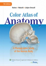 Color Atlas of Anatomy - Rohen, Johannes W.; Lutjen-Drecoll, Elke; Yokochi, Chichiro