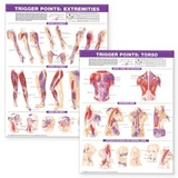 Trigger Point Chart Set: Torso & Extremities  Lam - 
