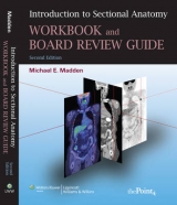 Introduction to Sectional Anatomy Workbook and Board Review Guide - Madden, Michael E.