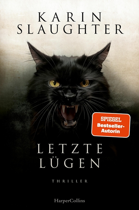 Letzte Lügen -  Karin Slaughter