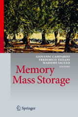 Memory Mass Storage - 