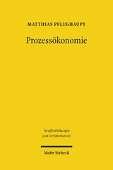 Prozessökonomie - Matthias Pflughaupt