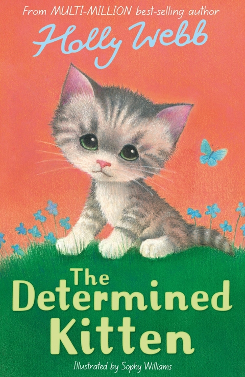 Determined Kitten -  Holly Webb