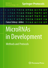 MicroRNAs in Development - 