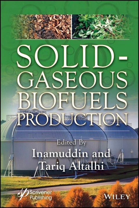 Solid-Gaseous Biofuels Production - 