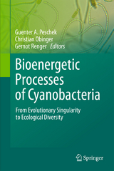 Bioenergetic Processes of Cyanobacteria - 