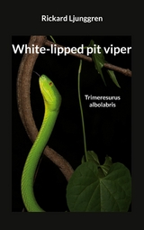 White-lipped pit viper - Rickard Ljunggren